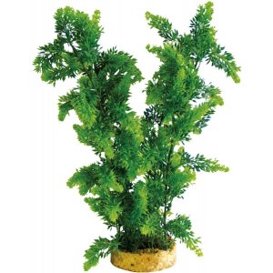 HAQUOSS PHYTOS 32 - 9x9x22h cm